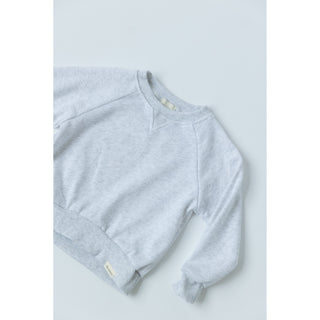 Sweatshirt- limited edition
